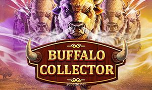 Buffalo Collector no 20bet